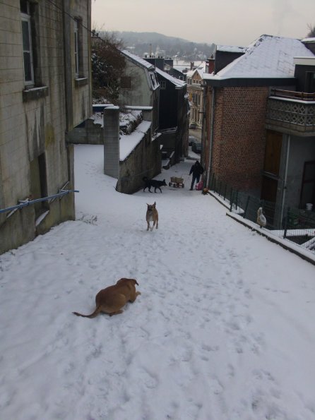 Roquette 01 (avec Sam)